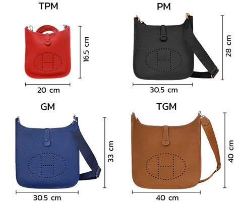 hermes evelyne size chart